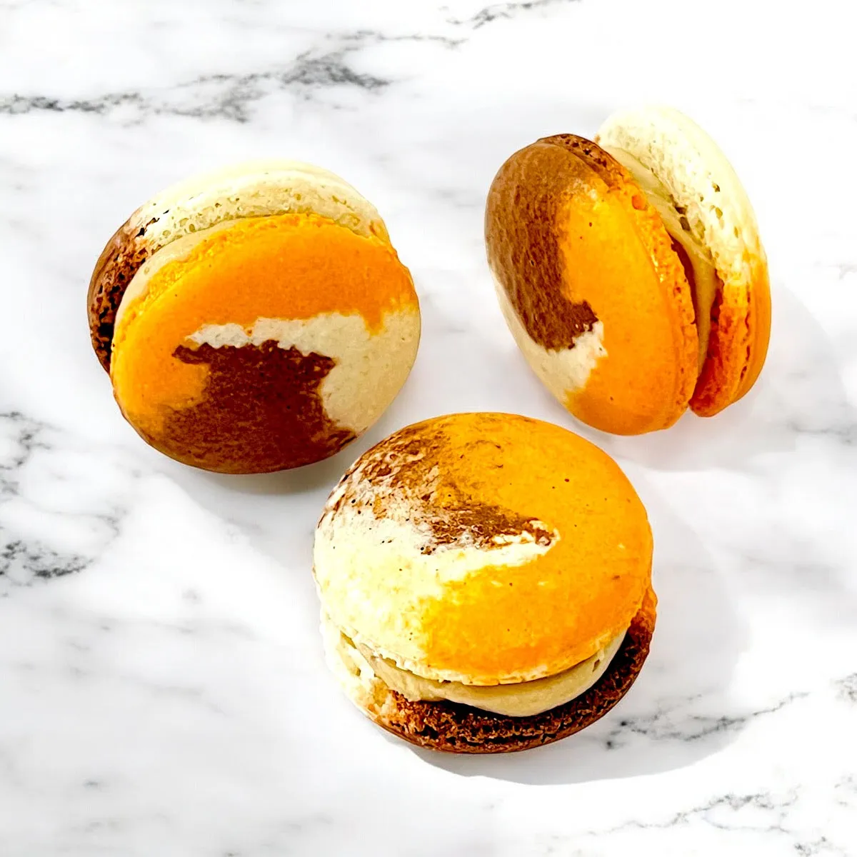 50 Pack Pumpkin Spice Latte French Macaron Value Pack