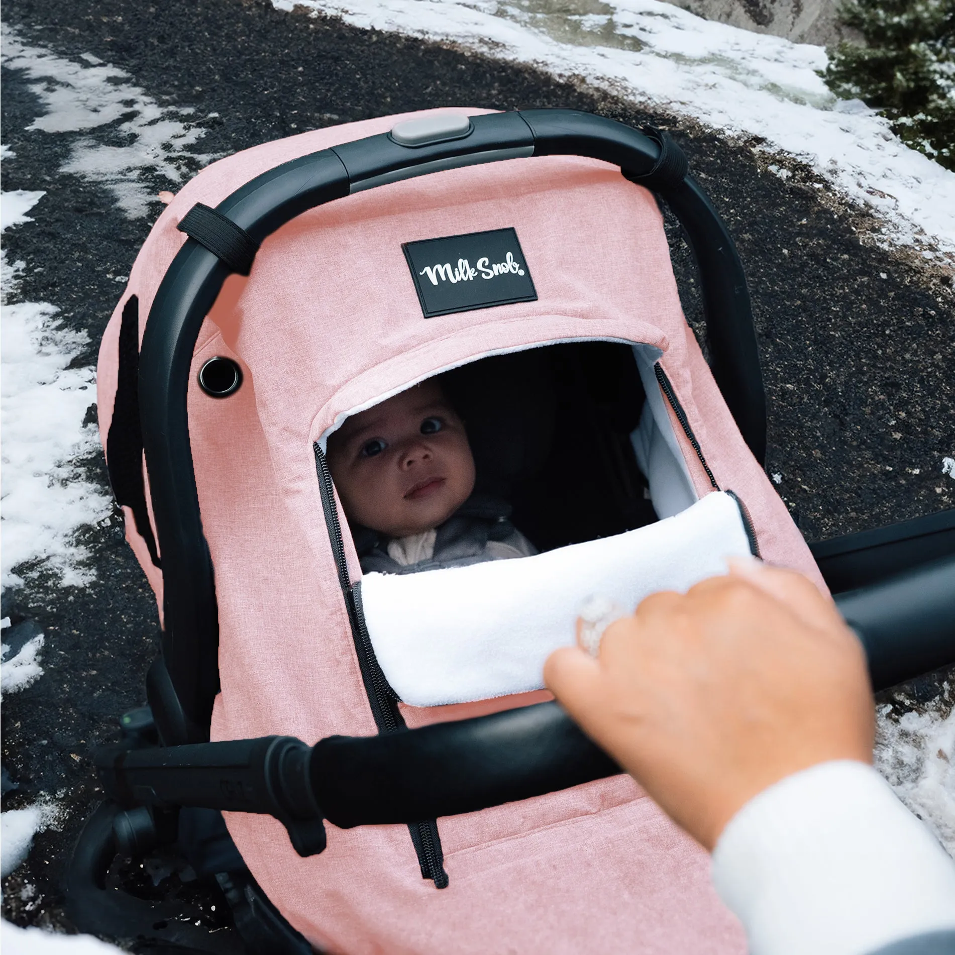BLUSH WINTER COVER