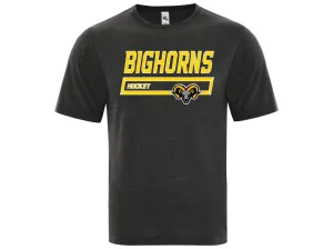 Lake Erie Bighorns Koi Tri Blend Locker Room Tee