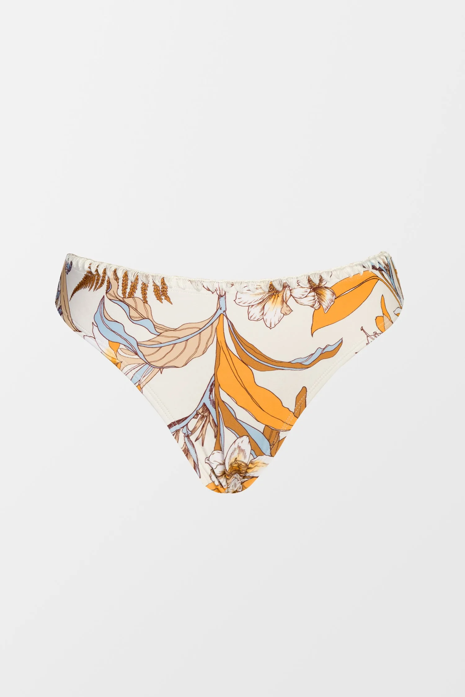 Late Autumn Low Rise Hipster Bikini Bottoms