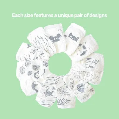 Parasol Clear Dry Natural Disposable Diapers - Size 4 - 52ct