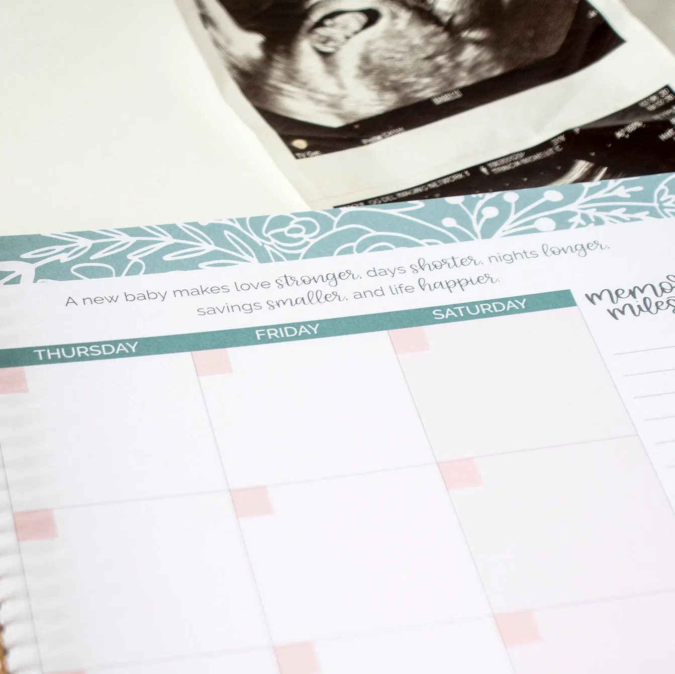 Pregnancy & Baby's First Year Planner & Calendar, The Story of You