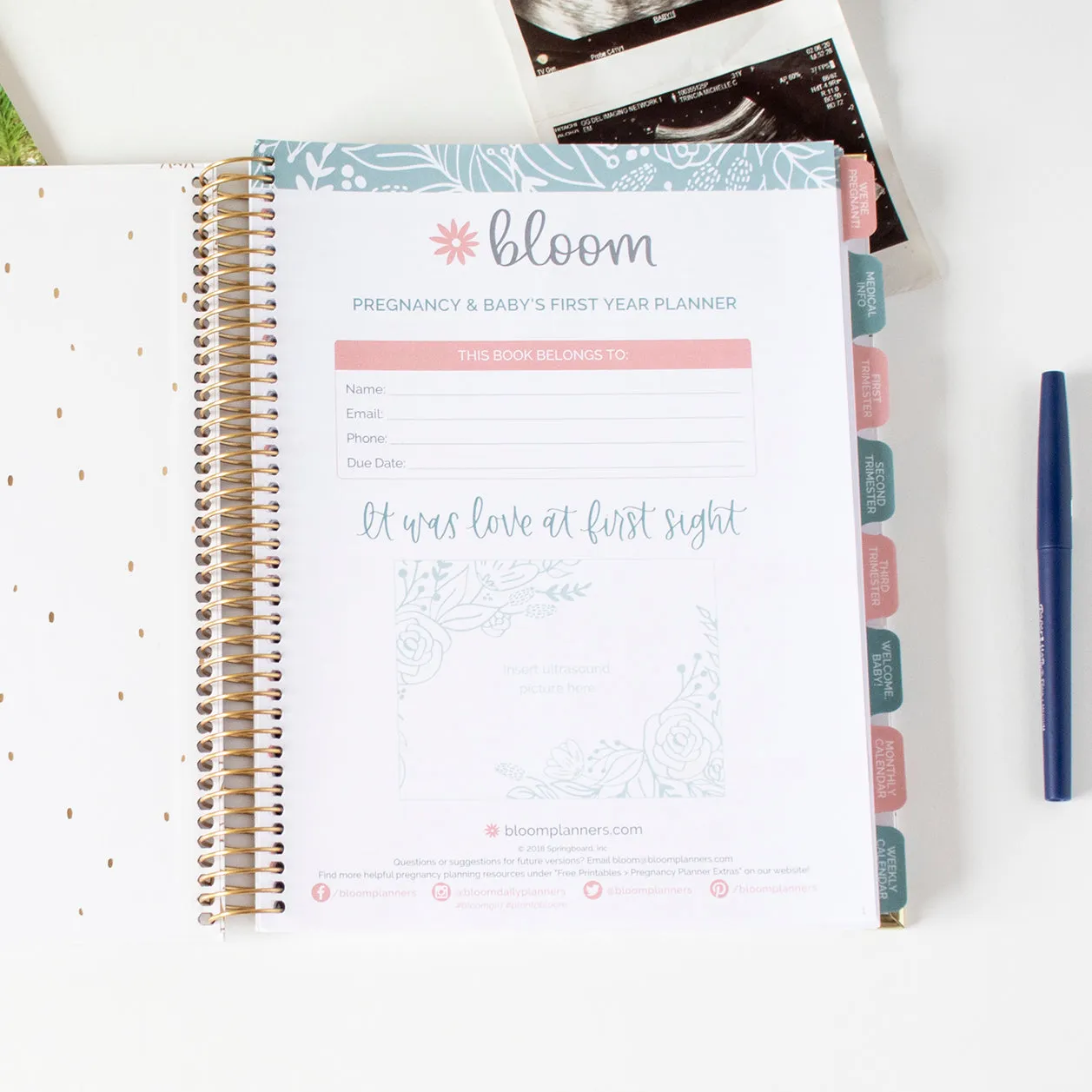 Pregnancy & Baby's First Year Planner & Calendar, The Story of You