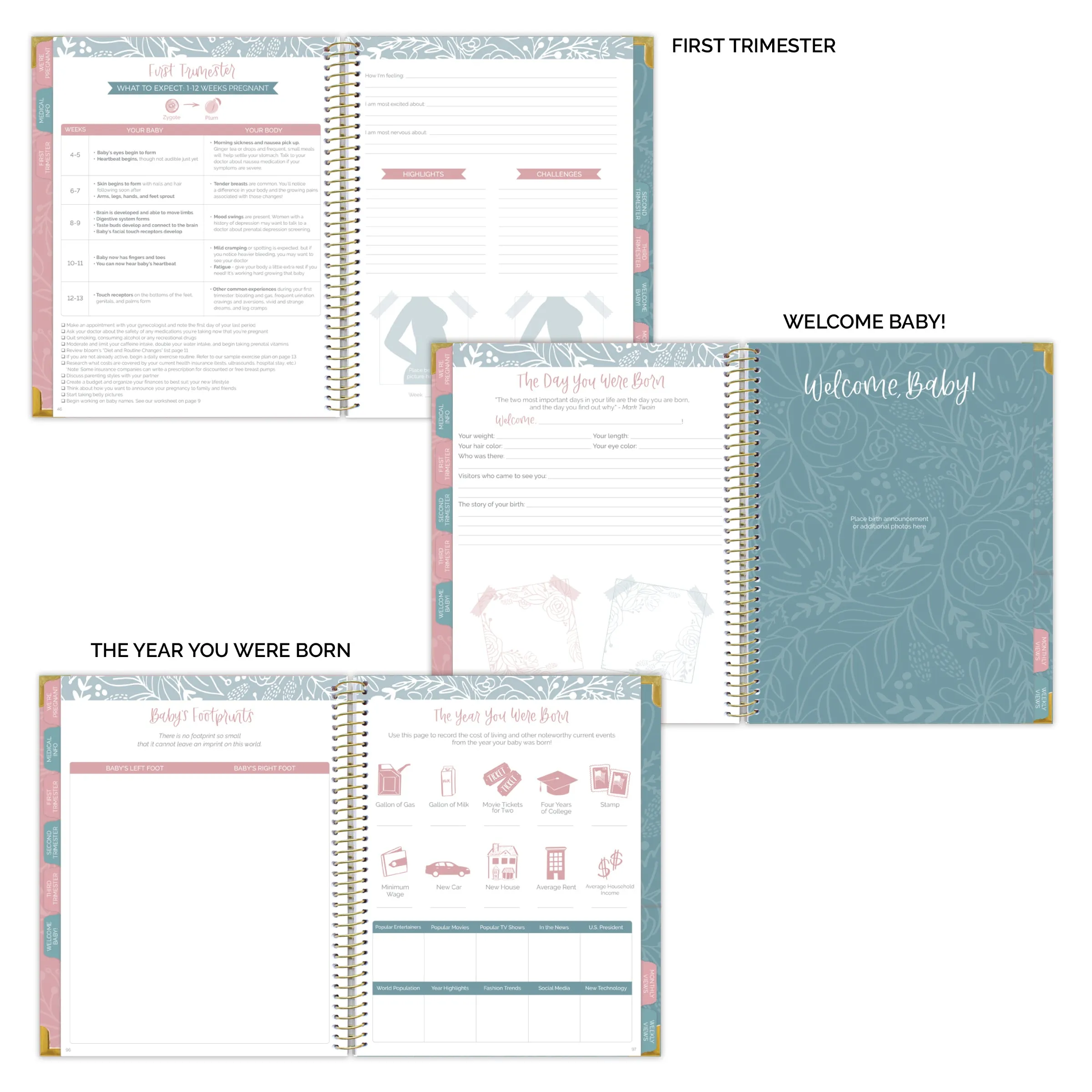 Pregnancy & Baby's First Year Planner & Calendar, The Story of You