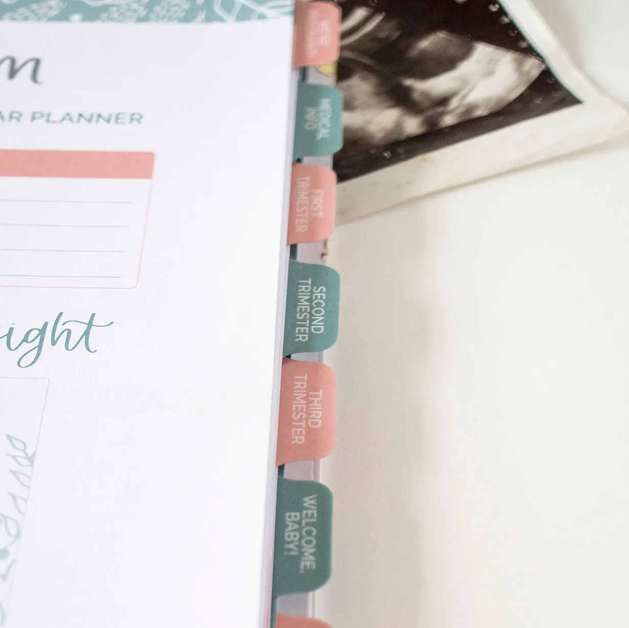 Pregnancy & Baby's First Year Planner & Calendar, The Story of You