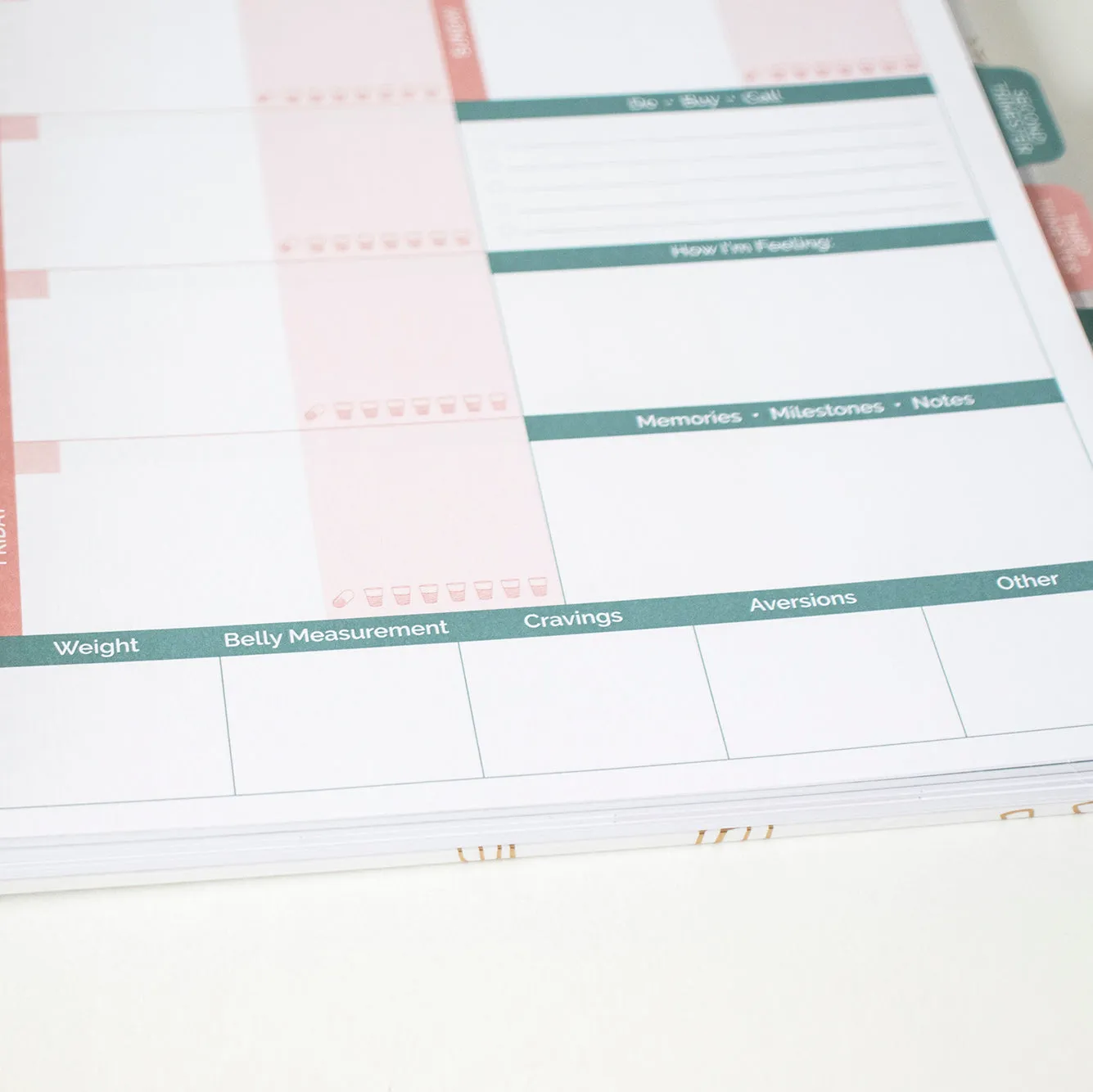 Pregnancy & Baby's First Year Planner & Calendar, The Story of You