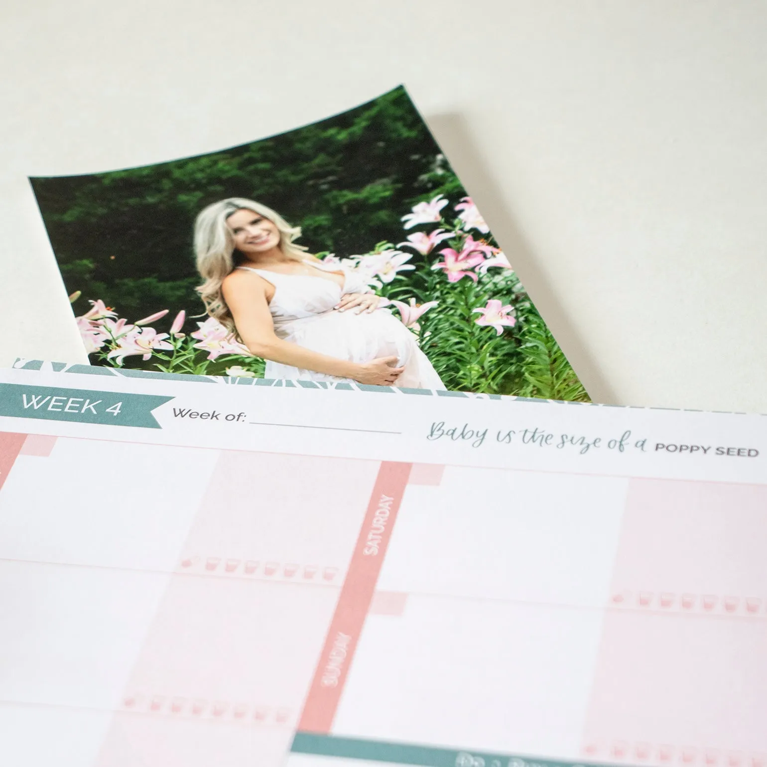 Pregnancy & Baby's First Year Planner & Calendar, The Story of You